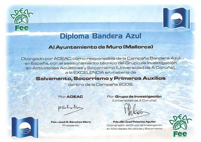 diploma azul