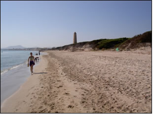 Platja de Muro - Es Comú