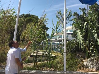 Bandera Azul y simulacro