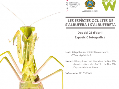 "Les espècies ocultes de s'Albufera i s'Albufereta"