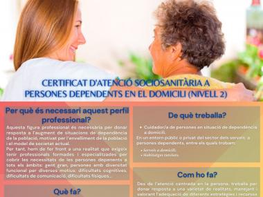 Certificat de professionalitat: Atenció sociosanitària a persones dependents en el domicili.