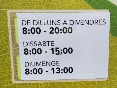 CÀMERA VIGILÀNCIA PUNT VERD