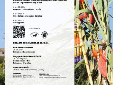 Festes Sant Jaume 2023 
