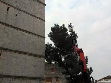 Processionària a Muro