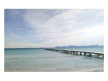 Platja de Muro reb les distincions de Bandera Blava i  Camins Blaus i el guardó de Salvament i Socorrisme