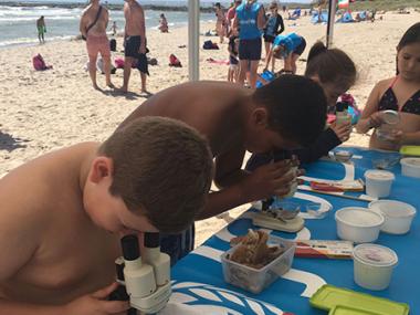 Dia del Medi Ambient a Platja de Muro	