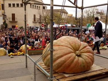 Concurs carabasses, Fira de tardor 2017