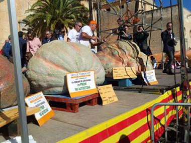 Guanyadors Concurs de Carabasses