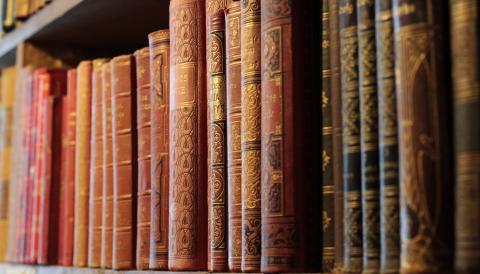 Biblioteca Muro