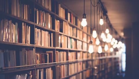 BIBLIOTECARI/A