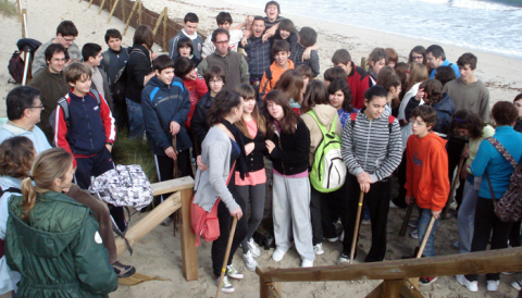 Activitat de reforestació a es Comú de Muro