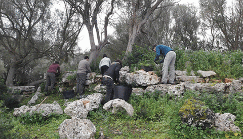 Arrenca la tercera intervenció arqueològica a Muro